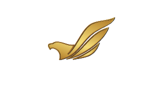 Soaring Eagle logo